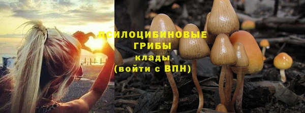 мескалин Дмитровск