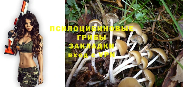 спайс Строитель